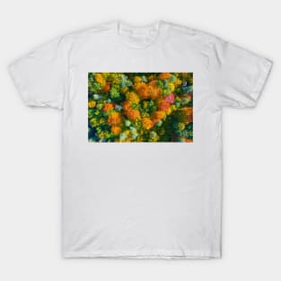 Aerial top down view of vibrant colorful autumn forest T-Shirt